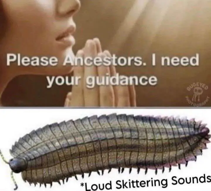 asking my anscestors for guidance and the humble arthropleura skitters.